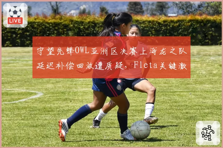 守望先锋OWL亚洲区决赛上海龙之队延迟补偿回放遭质疑,Fleta关键激素时机被判定无效致翻盘梦碎