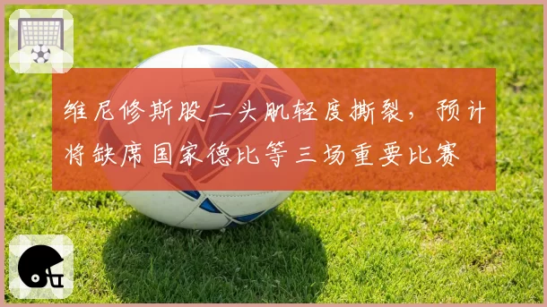 维尼修斯股二头肌轻度撕裂,预计将缺席国家德比等三场重要比赛