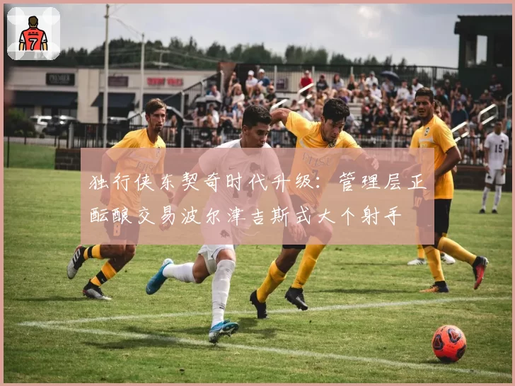 独行侠东契奇时代升级:管理层正酝酿交易波尔津吉斯式大个射手
