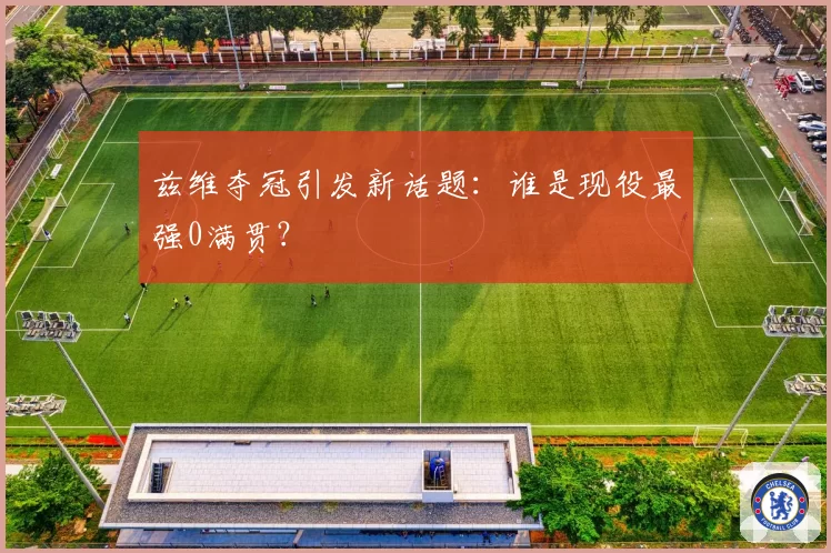 兹维夺冠引发新话题:谁是现役最强0满贯?