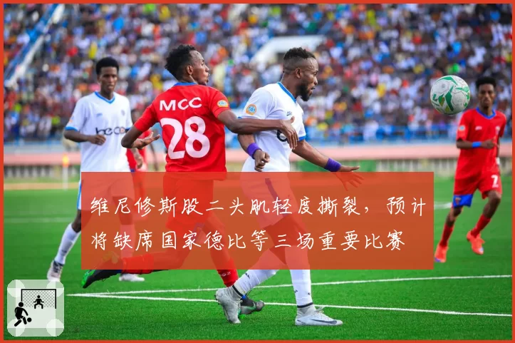 维尼修斯股二头肌轻度撕裂,预计将缺席国家德比等三场重要比赛